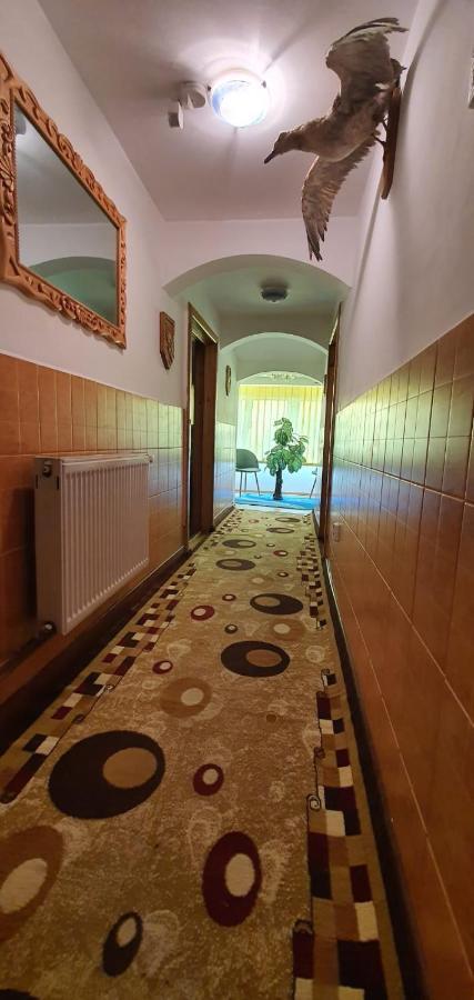 Villa Casa Cristian Câmpulung Moldovenesc Exterior foto